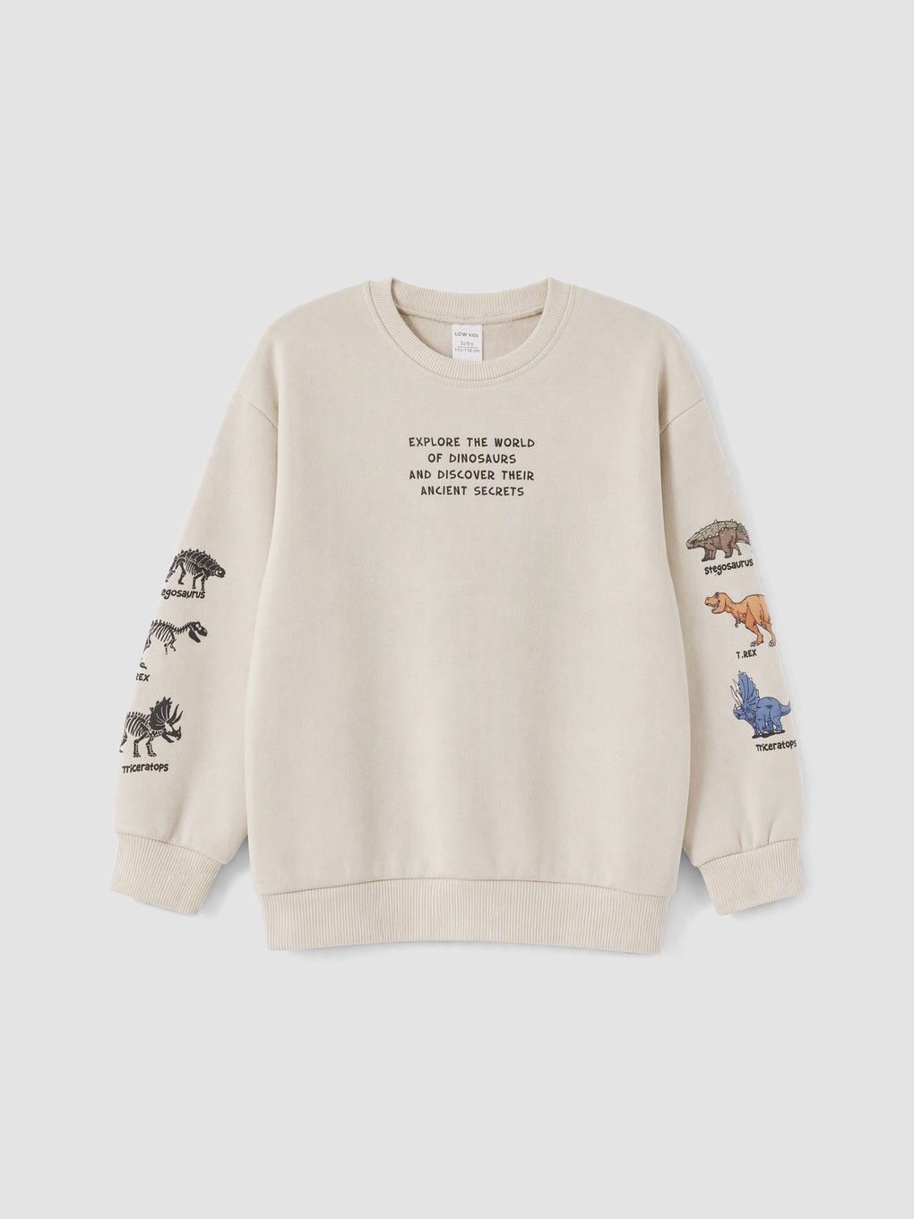 Dinosaur Printed Boys' Set-1