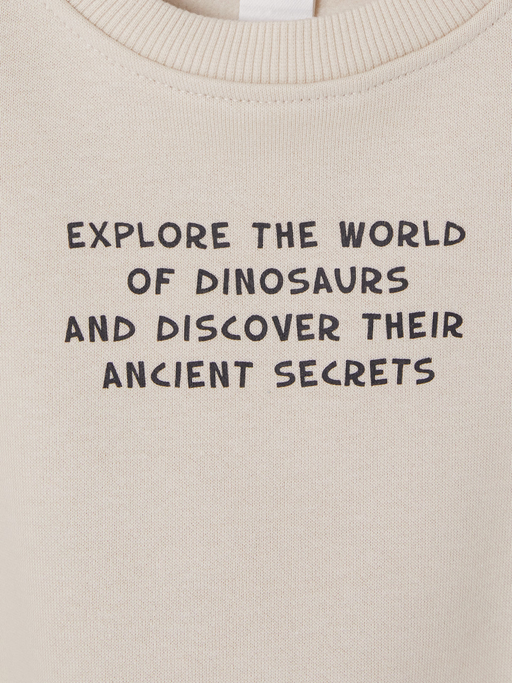 Dinosaur Printed Boys' Set-2