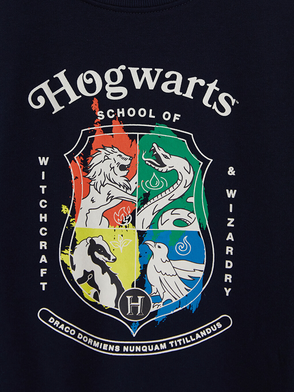 Harry Potter Printed Boys' Sweatshirt-2