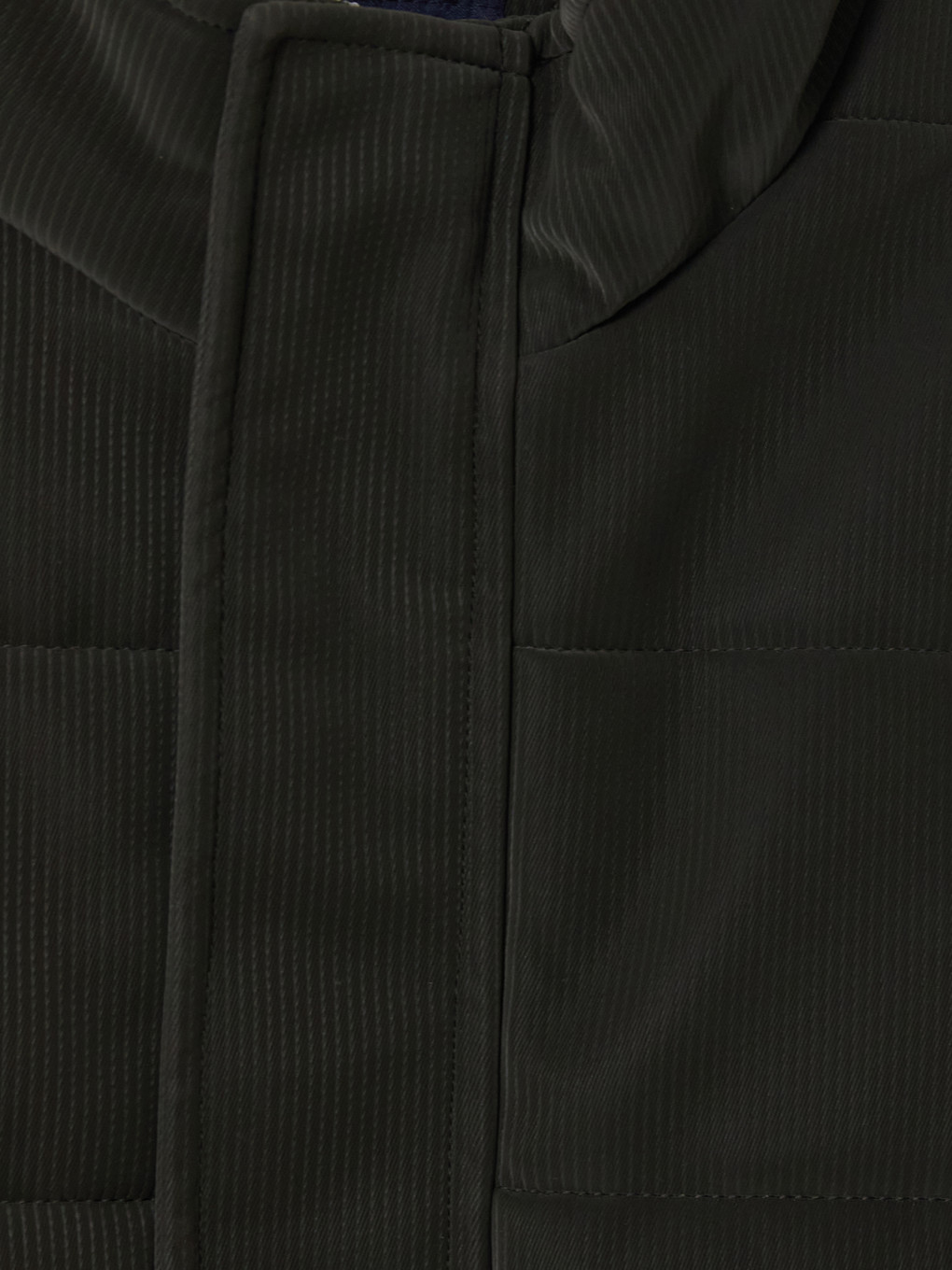 Haki Regular Fit Dik Yaka Erkek Deri Görünümlü Mont-5