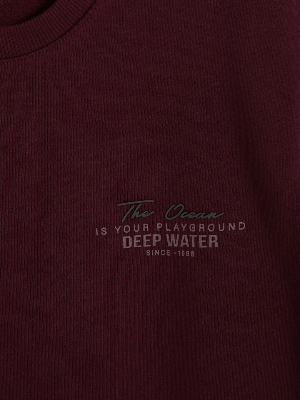 Mürdüm Bisiklet Yaka Baskılı Erkek Sweatshirt-2