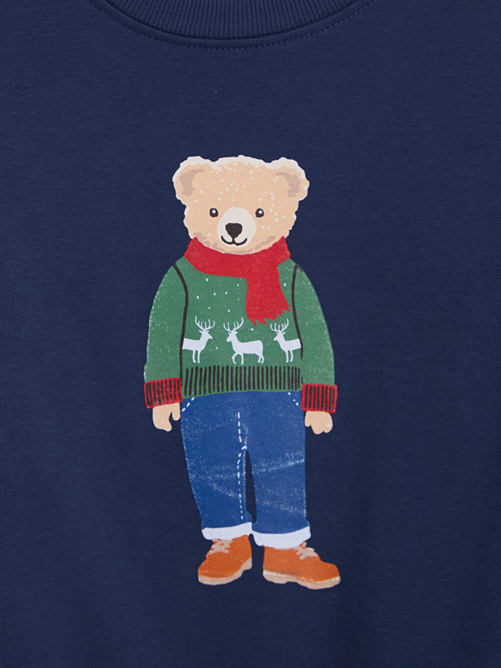 Printed Boys' Thick Sweatshirt-1