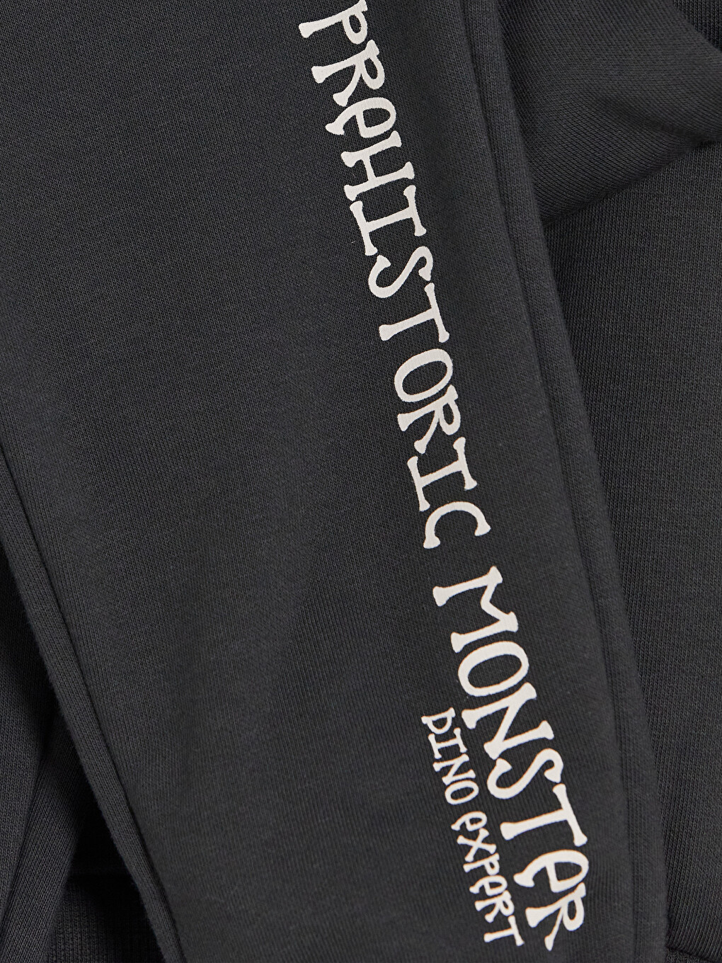 Printed Boys' Sweatshirt And Sweatpants Set-6