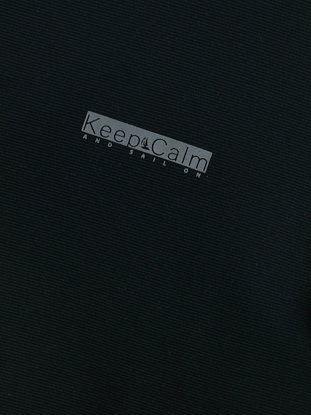 Siyah Bisiklet Yaka Baskılı Erkek Sweatshirt-2