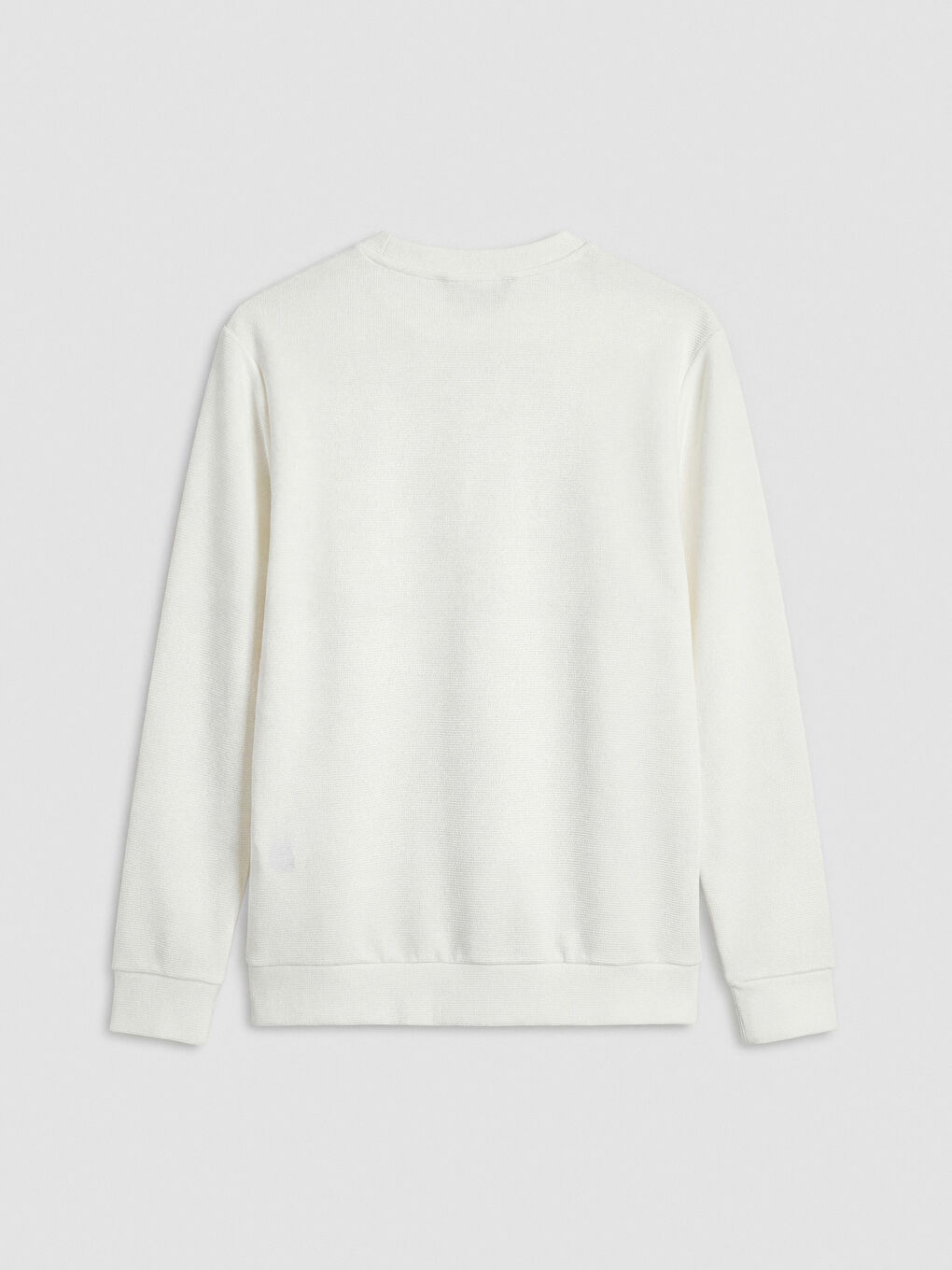 Ekru Bisiklet Yaka Baskılı Erkek Sweatshirt-5