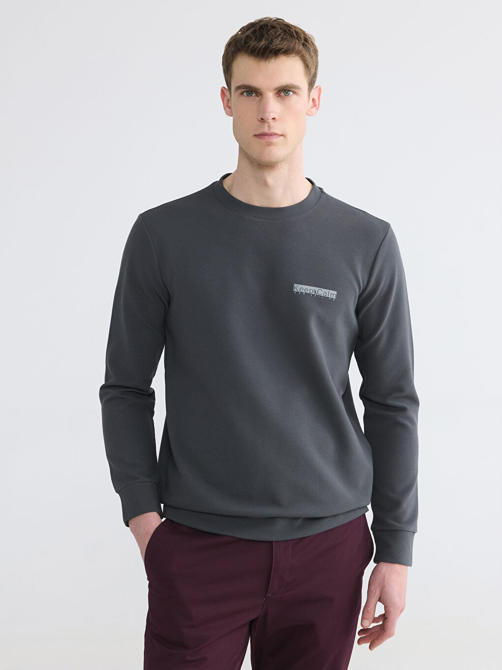 Antrasit Bisiklet Yaka Baskılı Erkek Sweatshirt