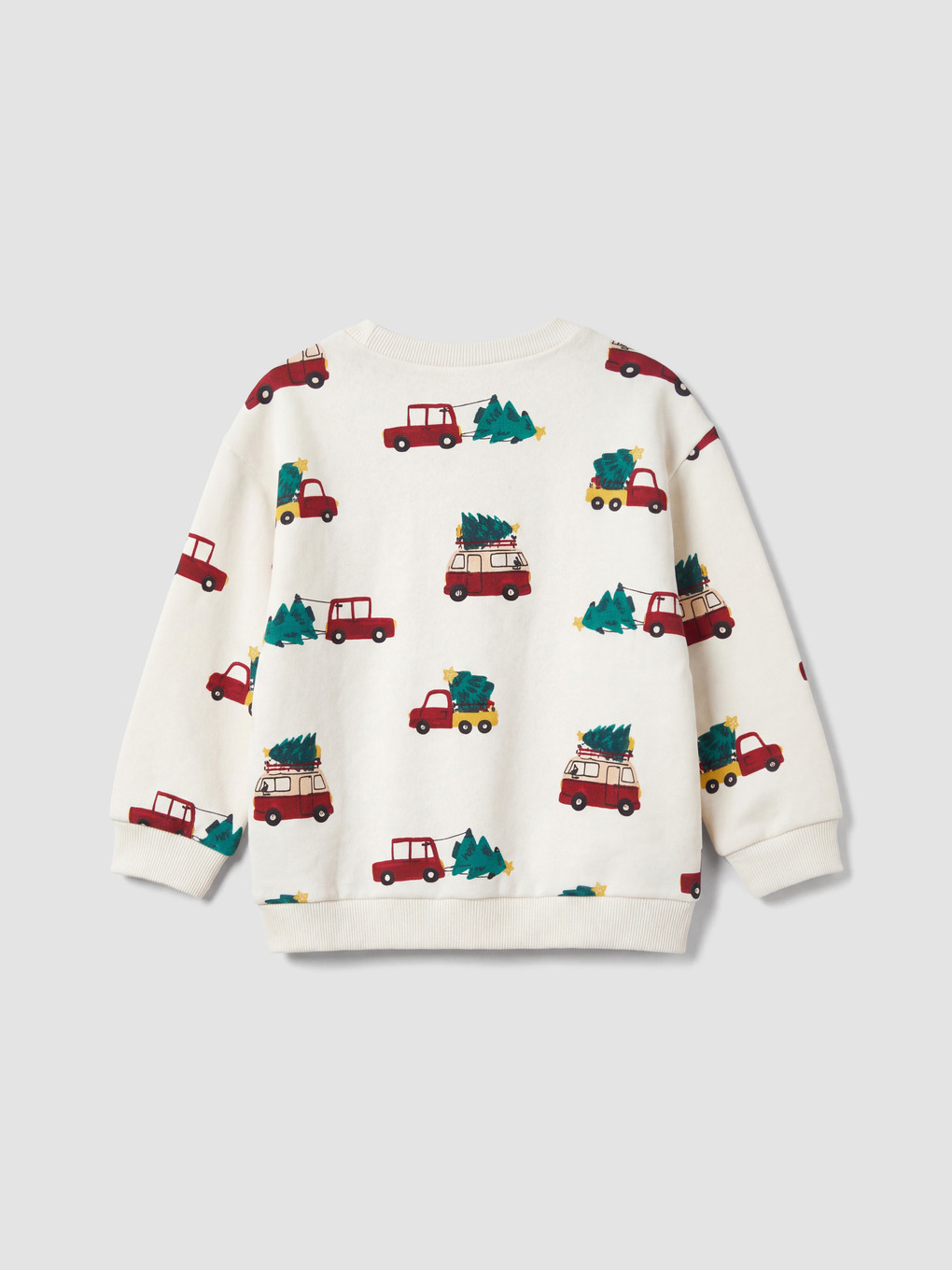 Crew Neck Printed Baby Boys' Thick Sweatshirt-2