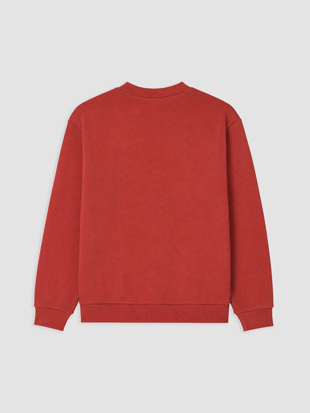 Kırmızı Bisiklet Yaka Ayı Baskılı Erkek Bebek Sweatshirt-1