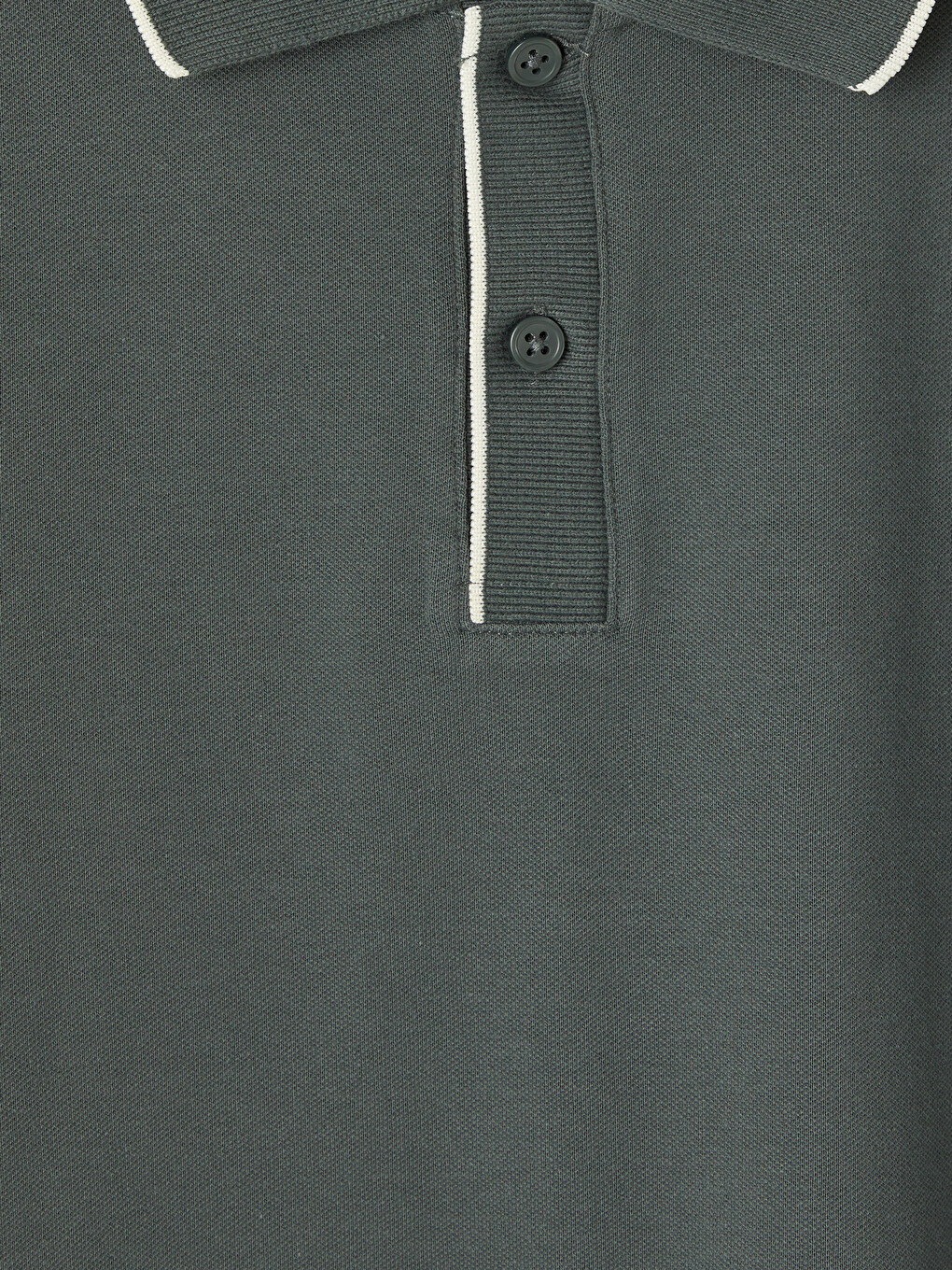 Regular Fit Polo Collar Men's T-shirt-1
