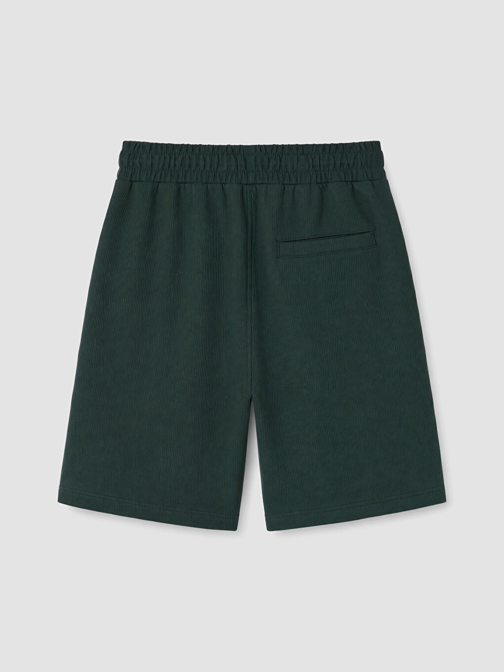 Yeşil Regular Fit Erkek Şort-2