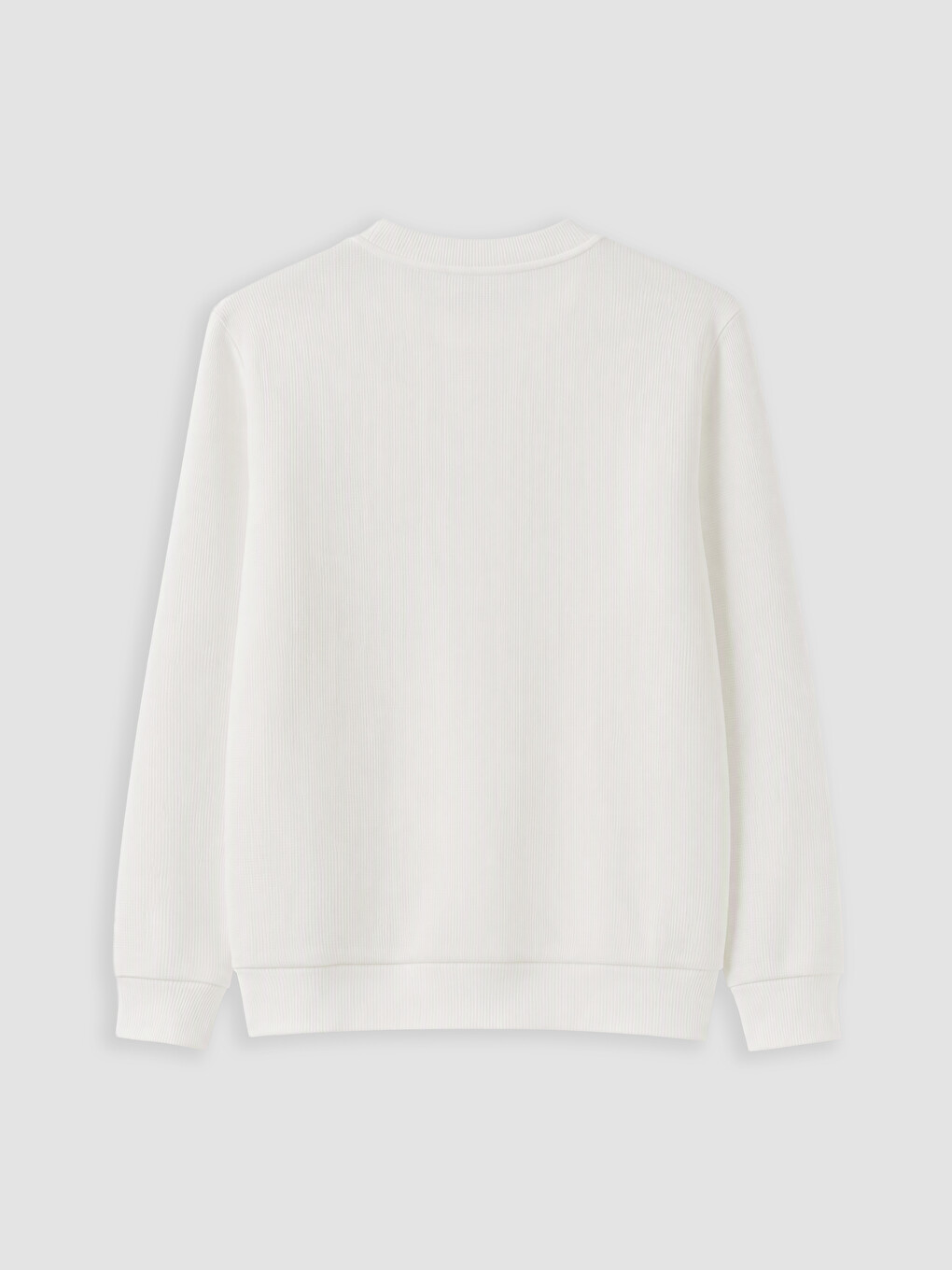 Beyaz Bisiklet Yaka Erkek Sweatshirt-6