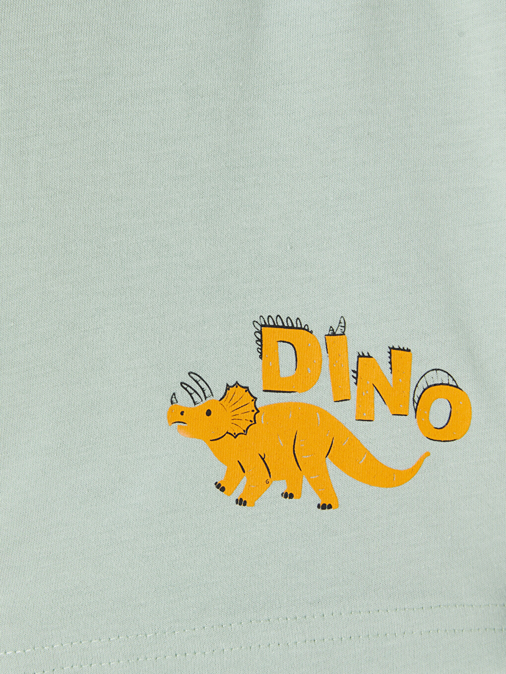 Yeşil Baskılı Erkek Çocuk 2'li Pijama Şort-5