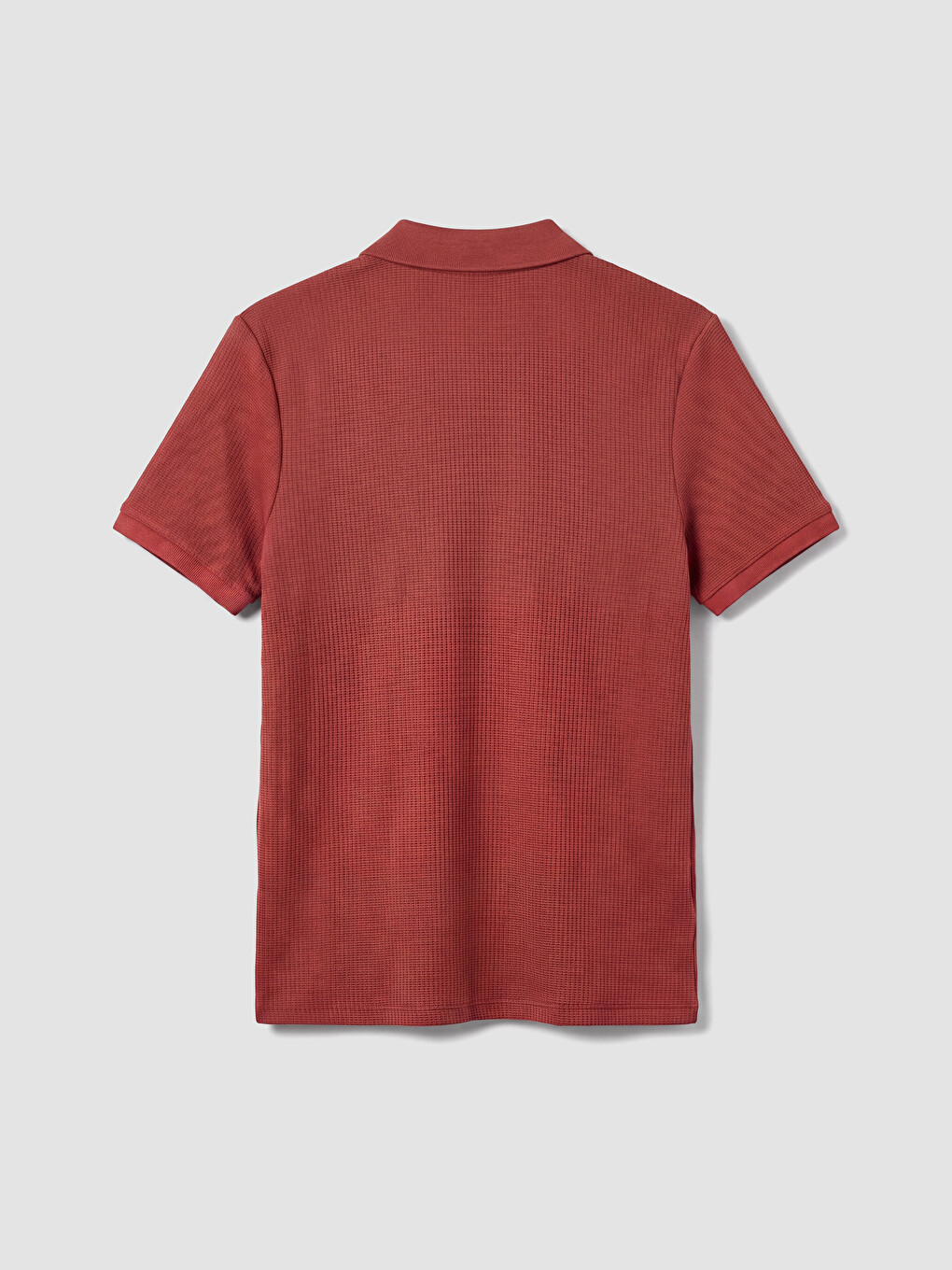 Turuncu Polo Yaka Erkek Tişört-6