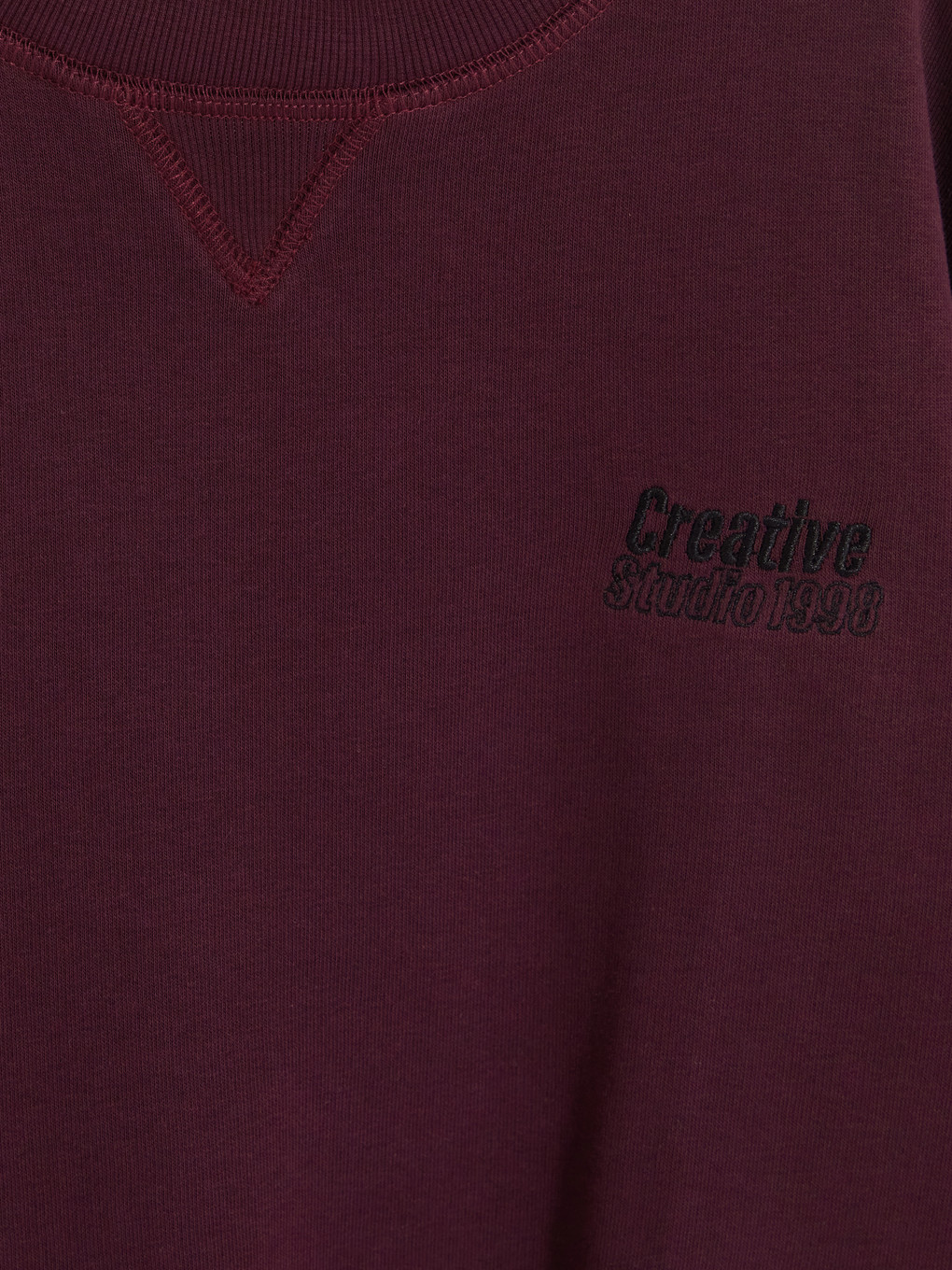 Boy Plum Sweatshirt-2
