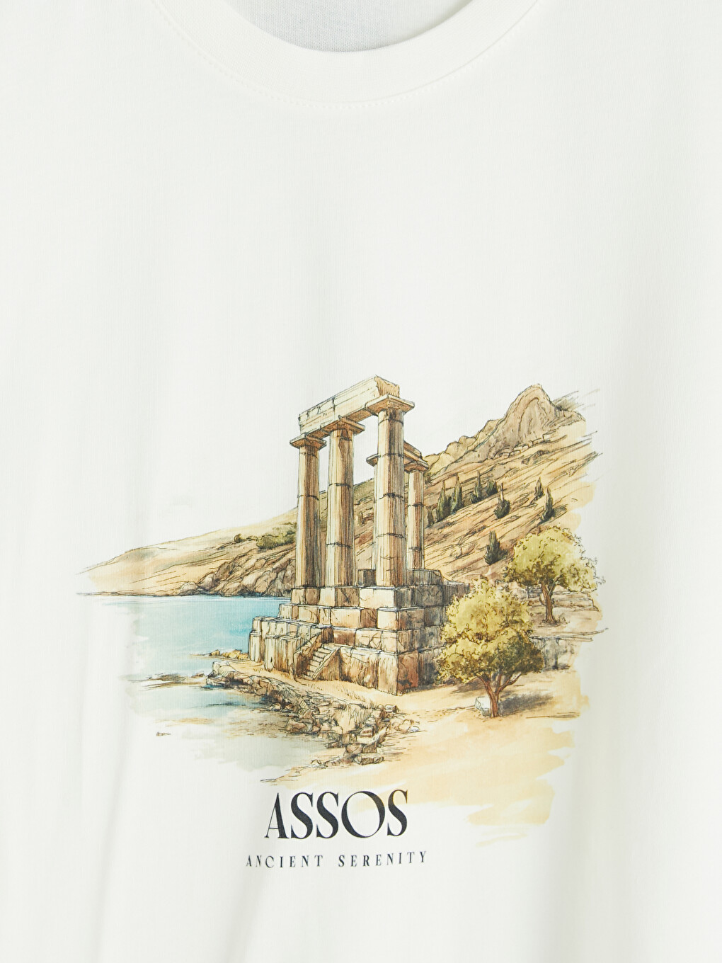Ekru Bisiklet Yaka Assos Baskılı Erkek Tişört-2