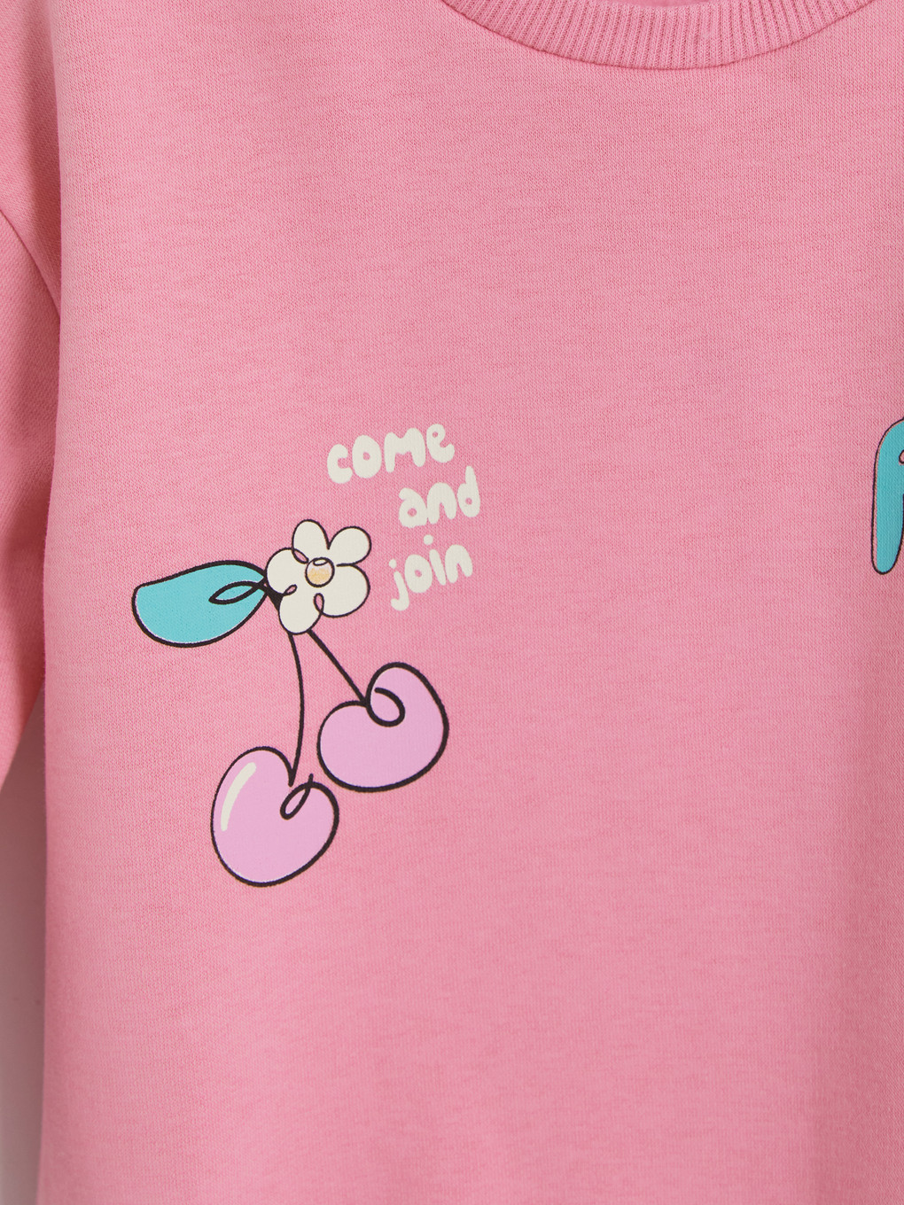 Girl Pink Sweatshirt-2