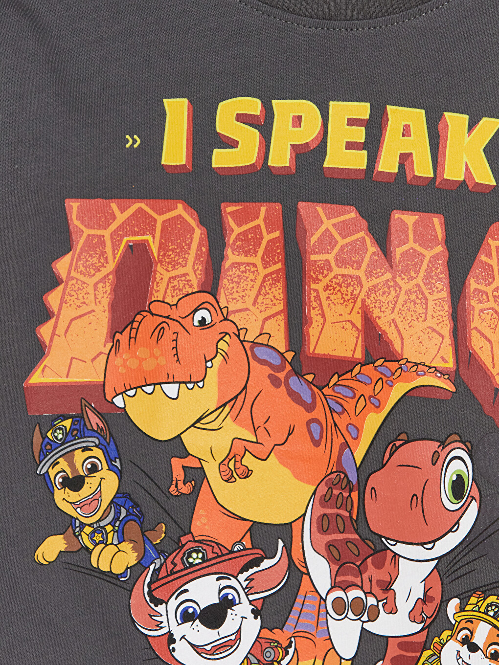 Gri Bisiklet Yaka Paw Patrol Baskılı Erkek Çocuk Tişört-1