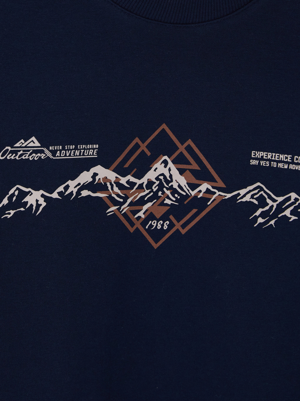 Crew Neck Printed Men's Sweatshirt-1