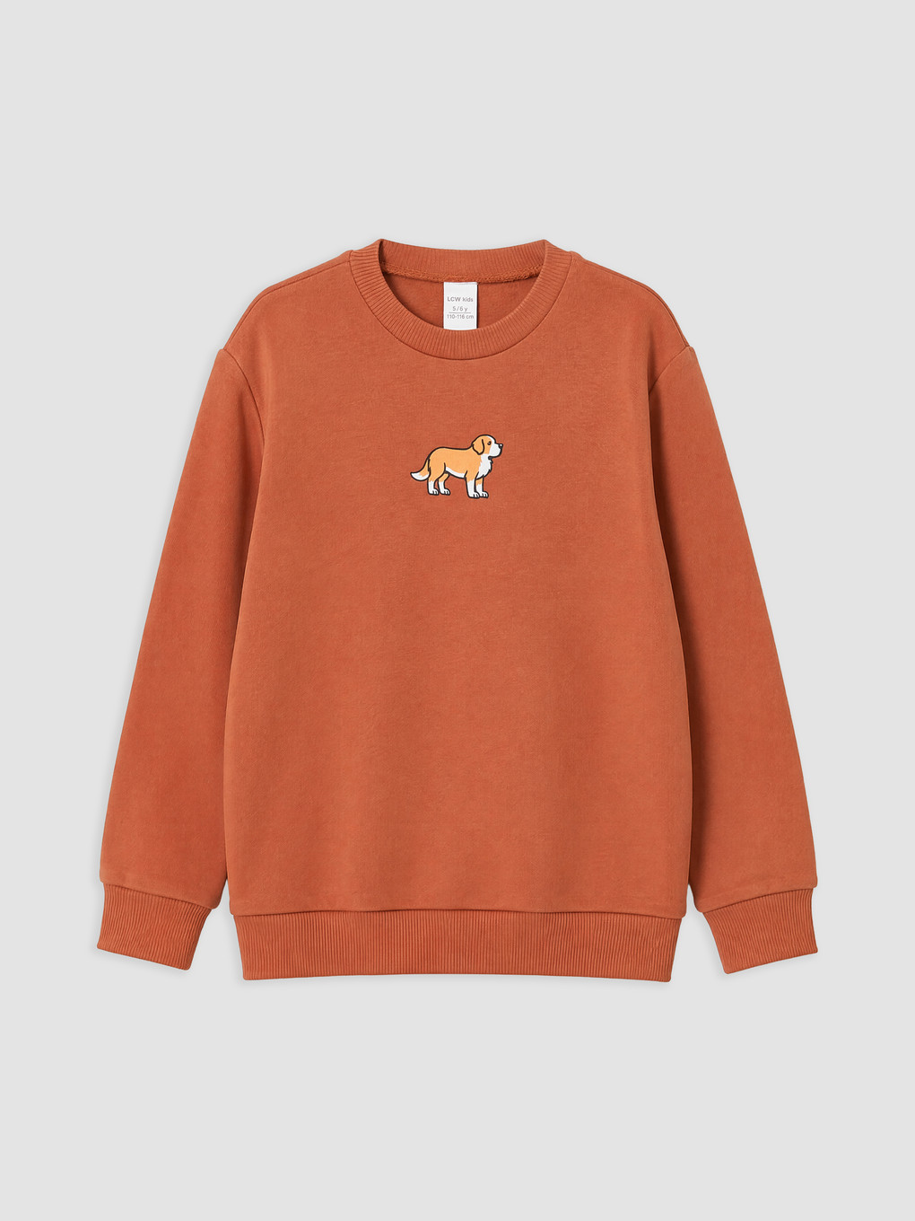 Boy White Sweatshirt-3