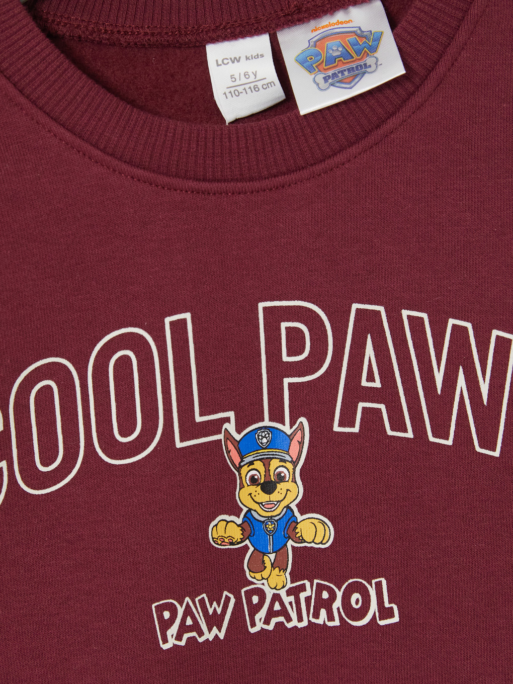 Paw Patrol Boys' Thick Sweatshirt-2