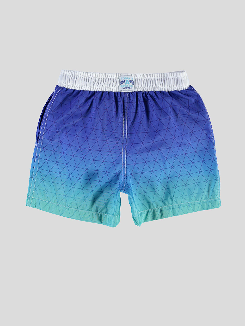 Nane Yeşili Bsk Yüzme Şort-1