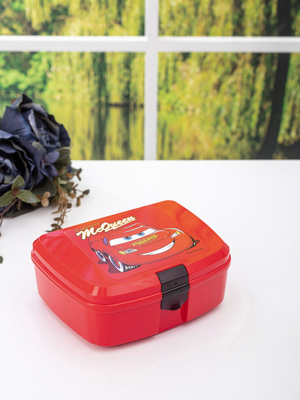 Boîte de Rangement Cars