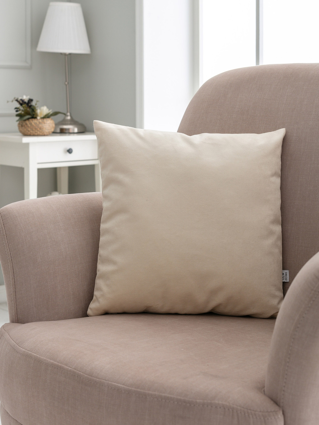 Velvet Throw Pillow