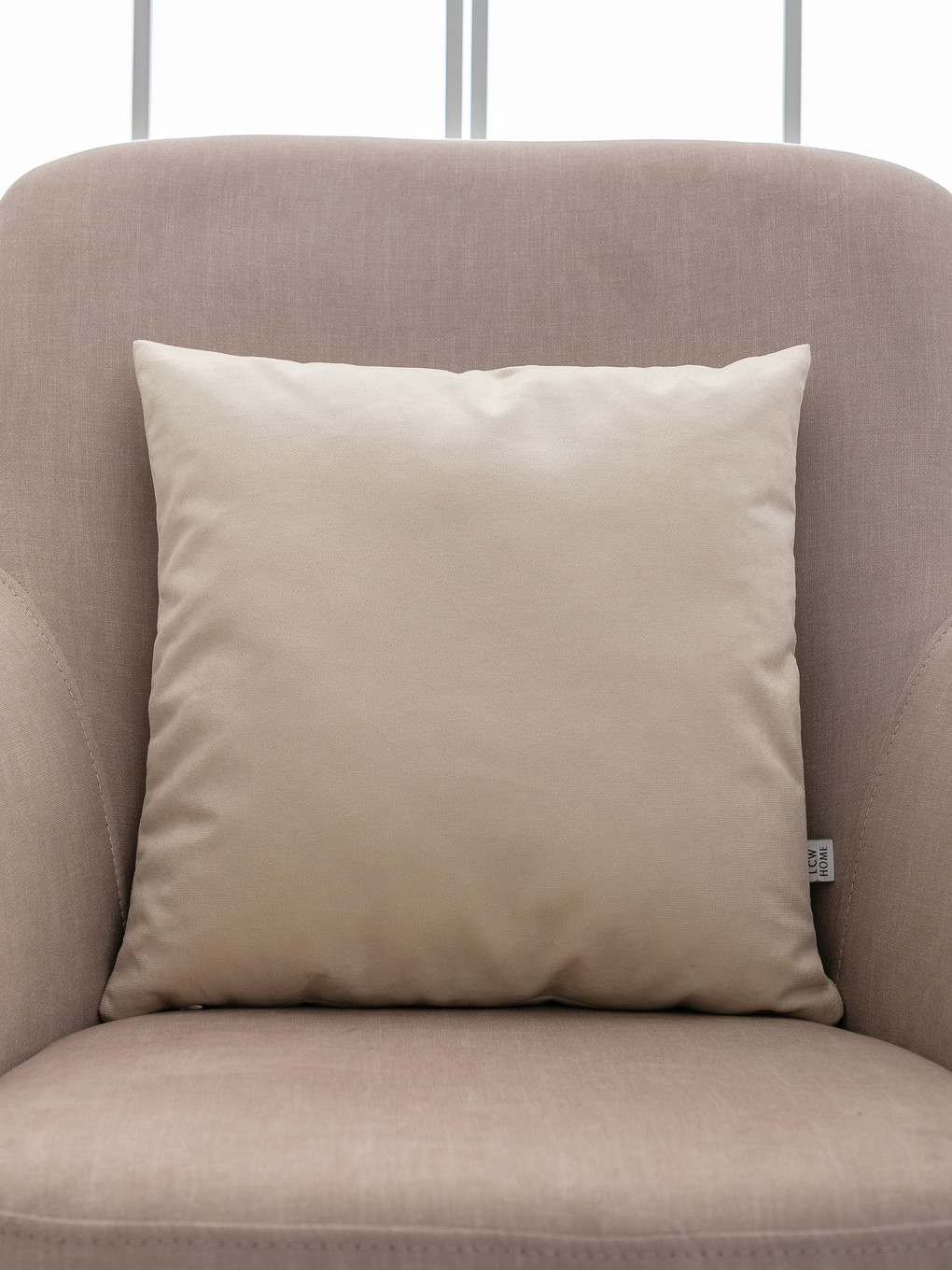 Velvet Throw Pillow-1