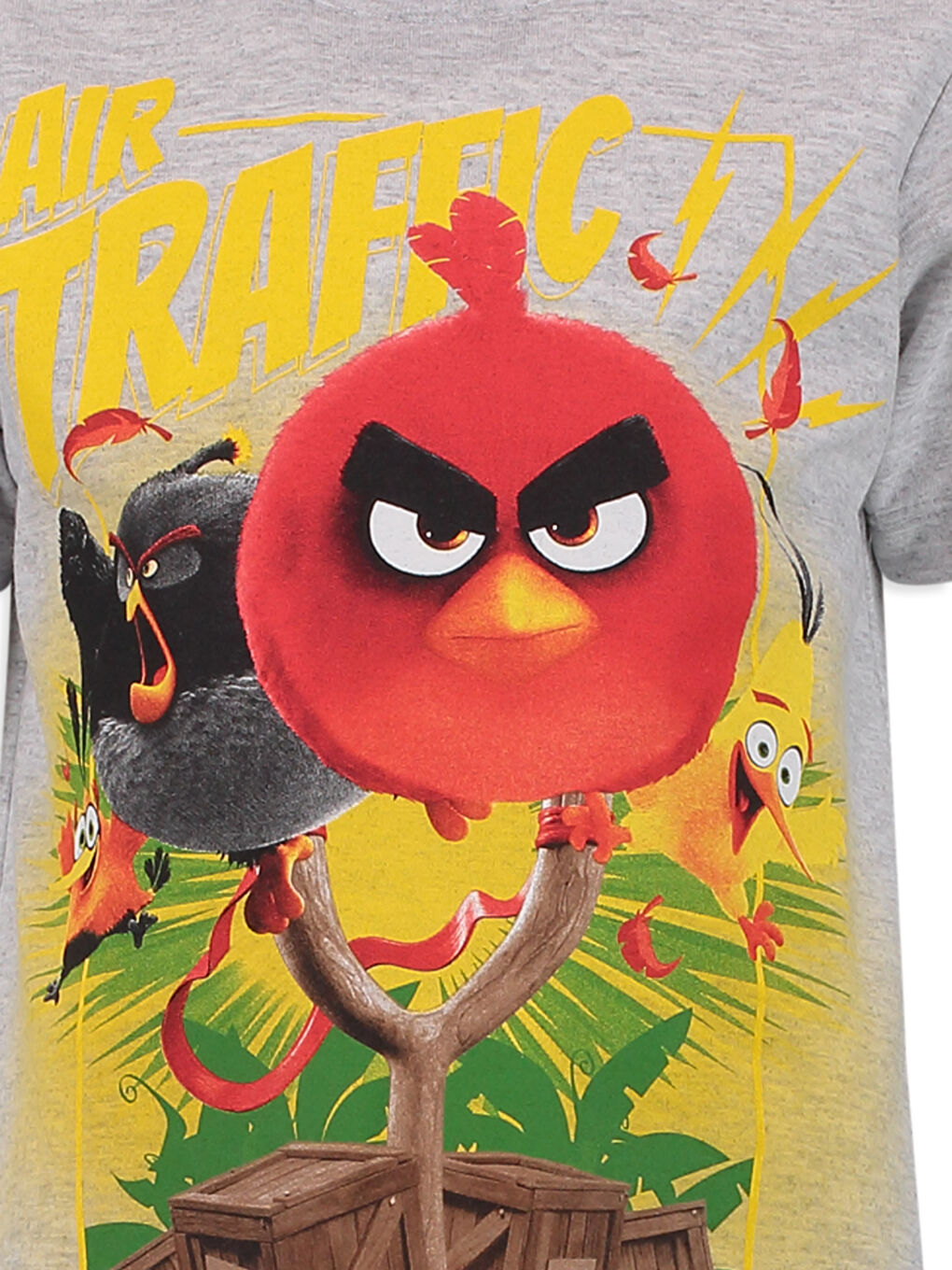 Футболка Angry Birds для мальчиков-2