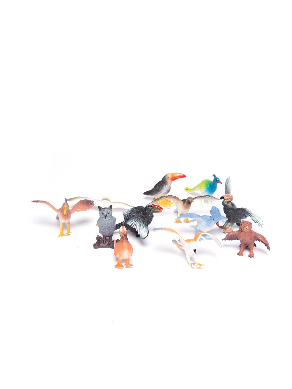 Boy's Wild Animals Set-3