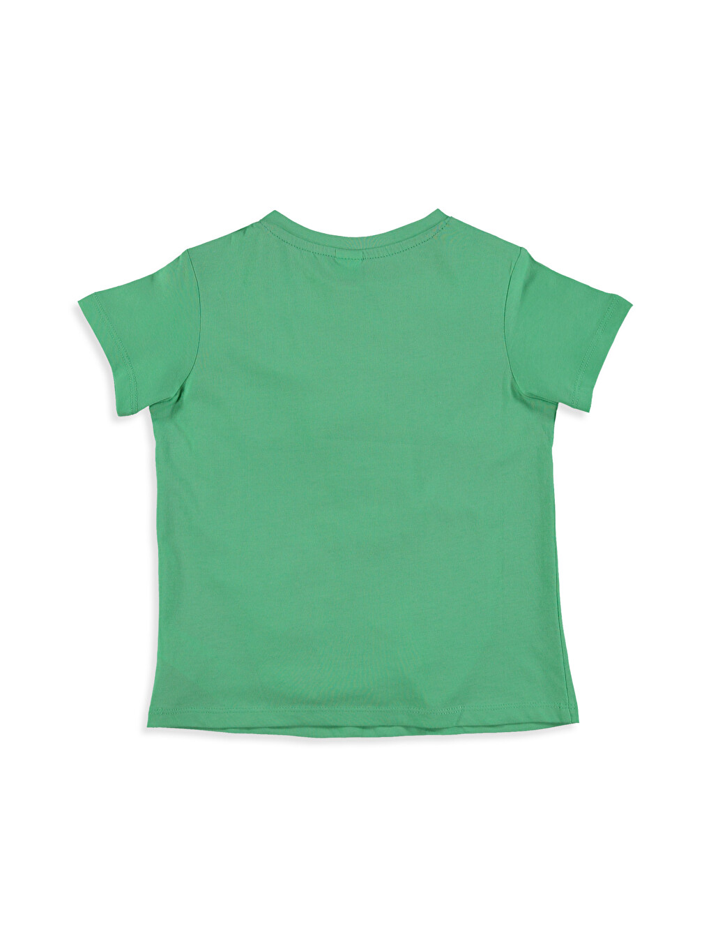 Unisex Green T-Shirt-1