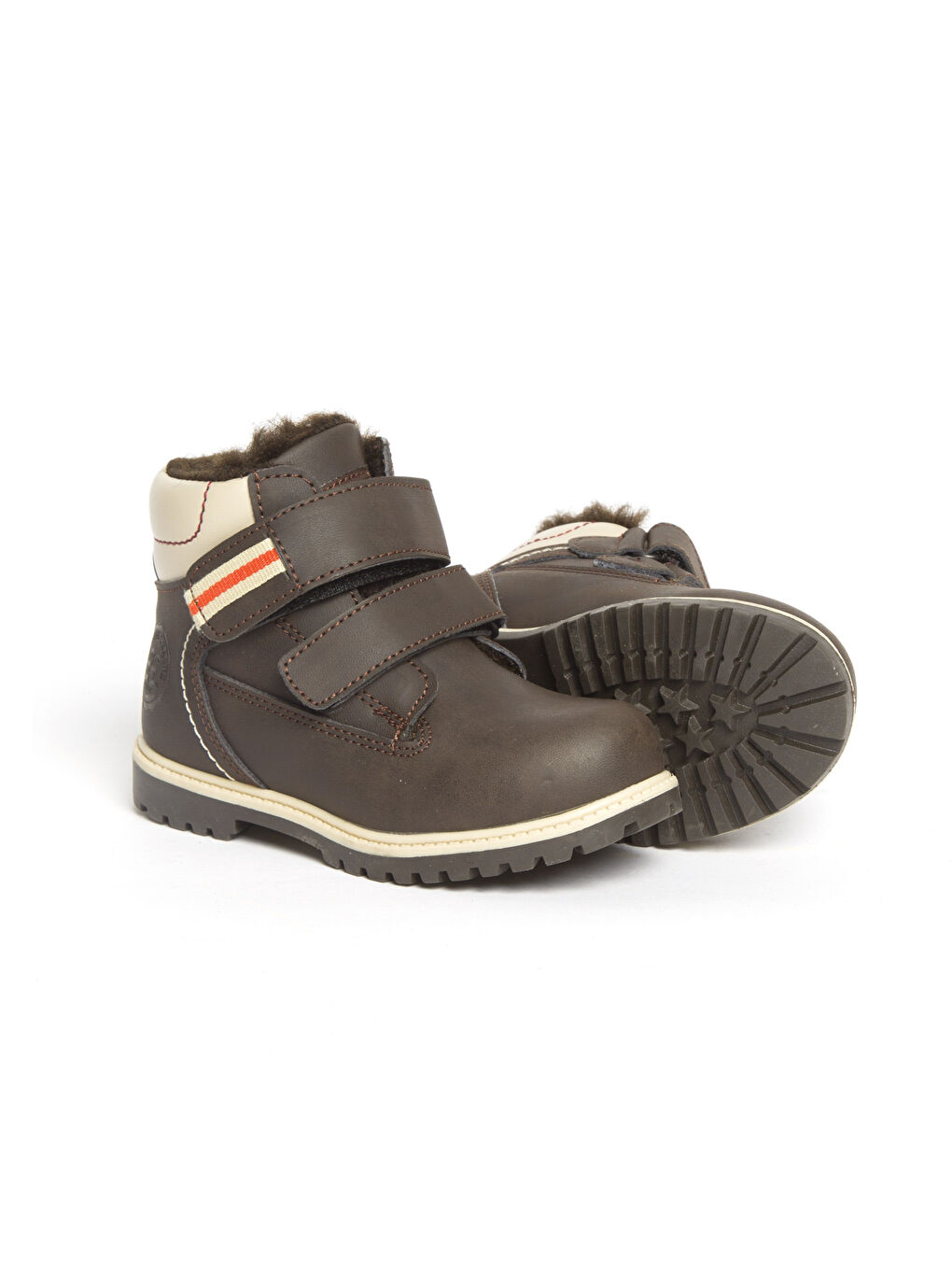 Kahverengi Kahve Bot-1