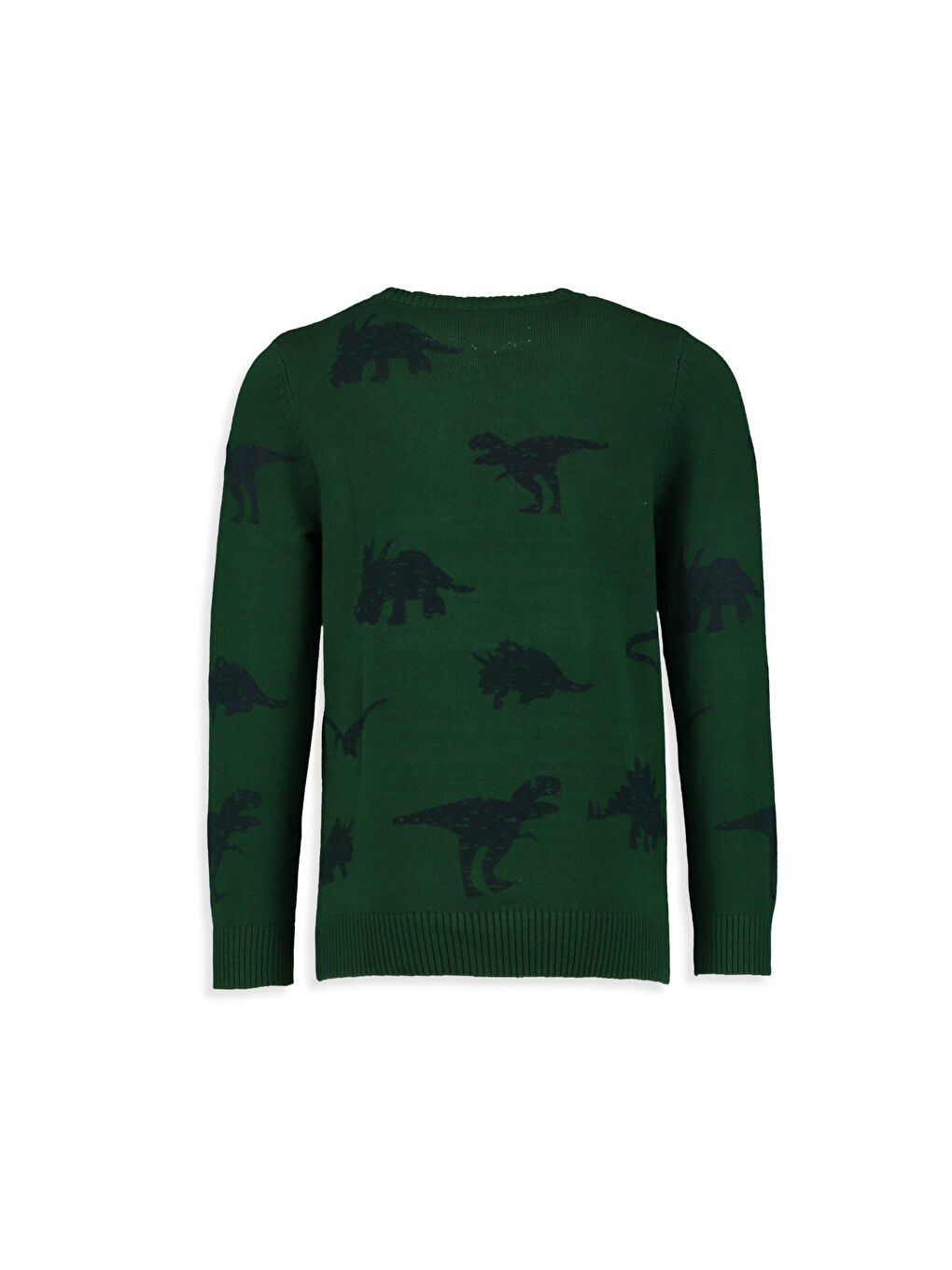 LCW Kids Crew Neck Jumper -7K7616Z4-HPX