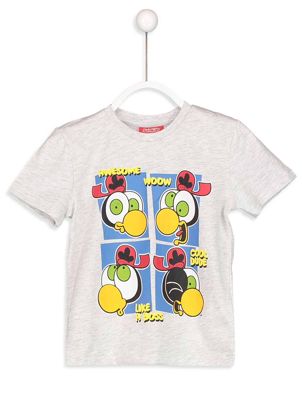 Boy's Sizinkiler Printed T-Shirt and Shorts-1