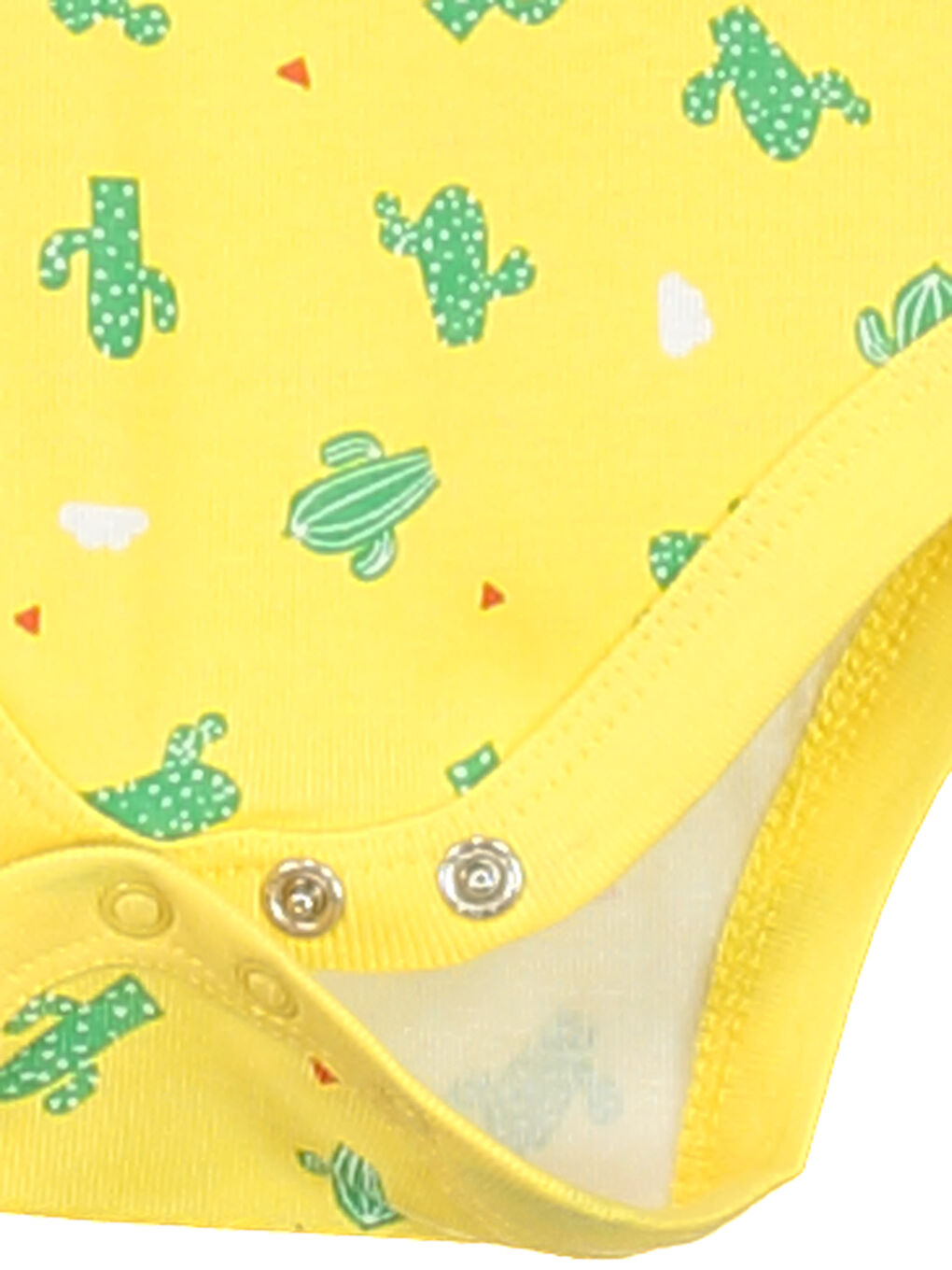 2-pack Baby Boy’s Printed Bodysuit-4