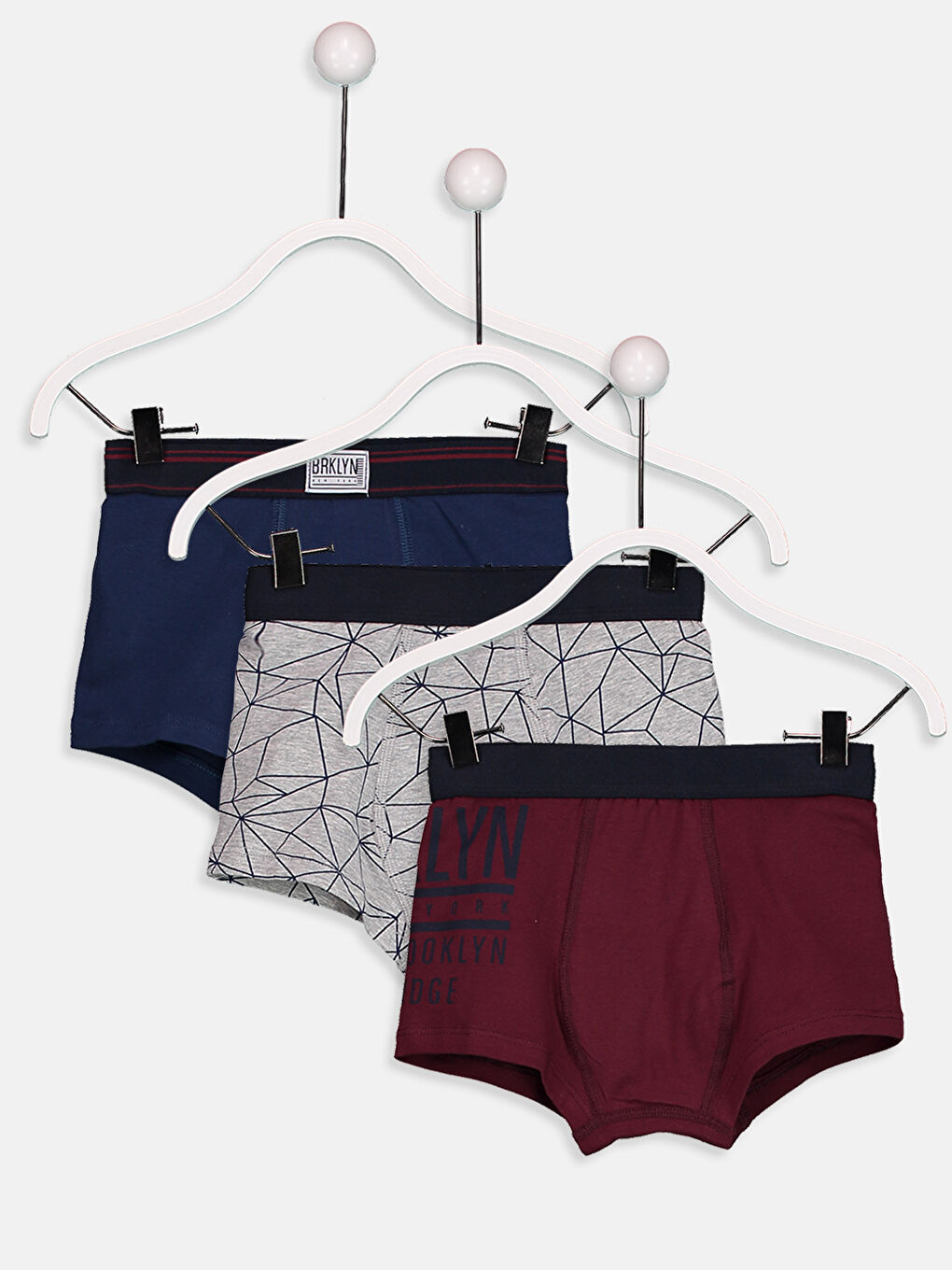 Bordo Boxer