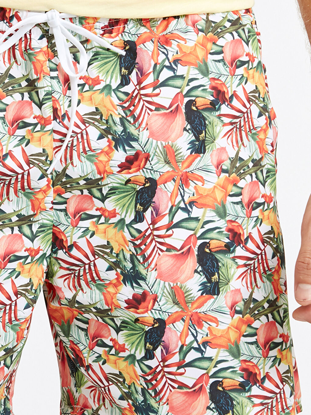 Yeşil Diz Üstü Boy Desenli Deniz Şortu-2