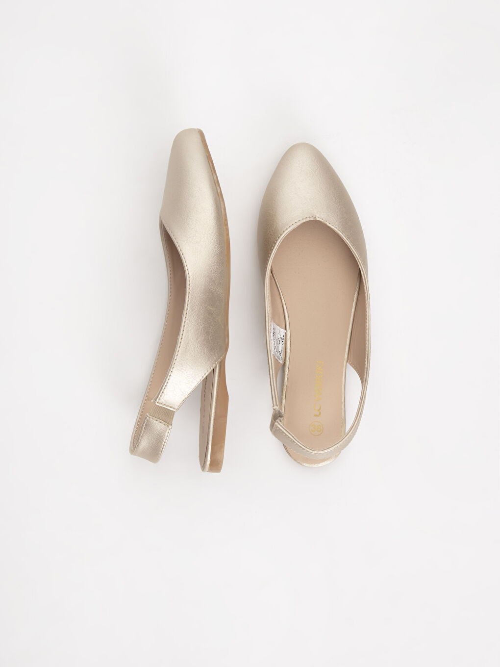 Sarı Altın Babet-1