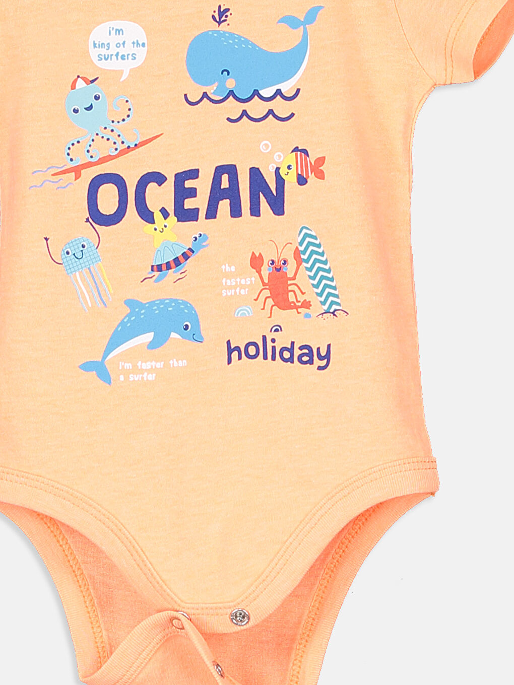 Mercan Erkek Bebek Çıtçıtlı Body 2'li-4