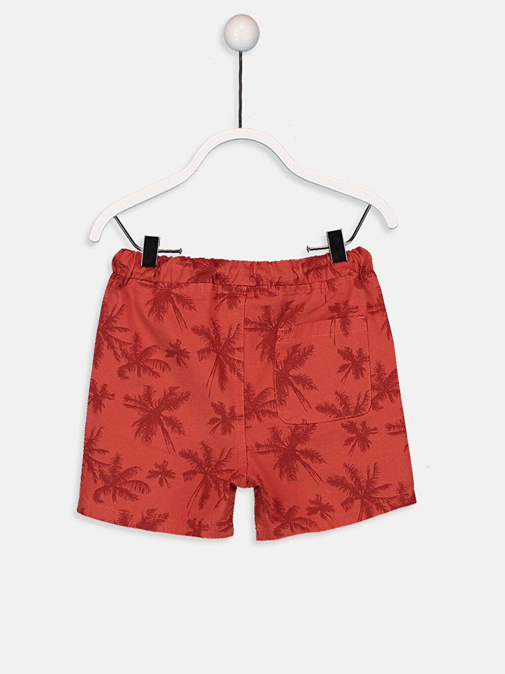 Baby Boy CORAL Shorts-2