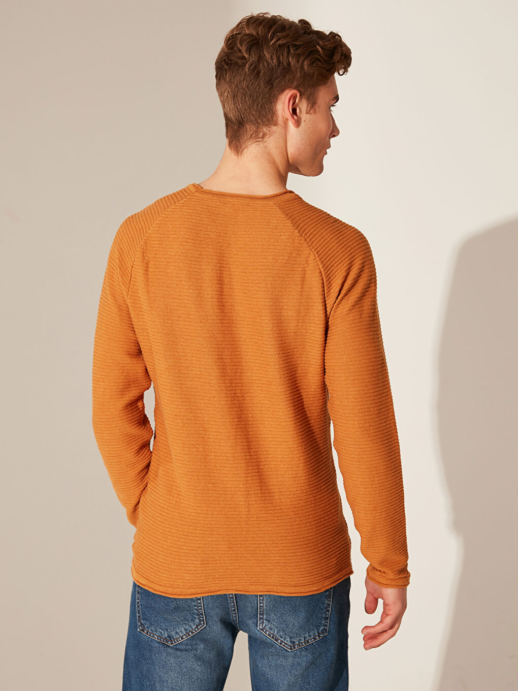 Regular Fit Men's Knit Sweater-3
