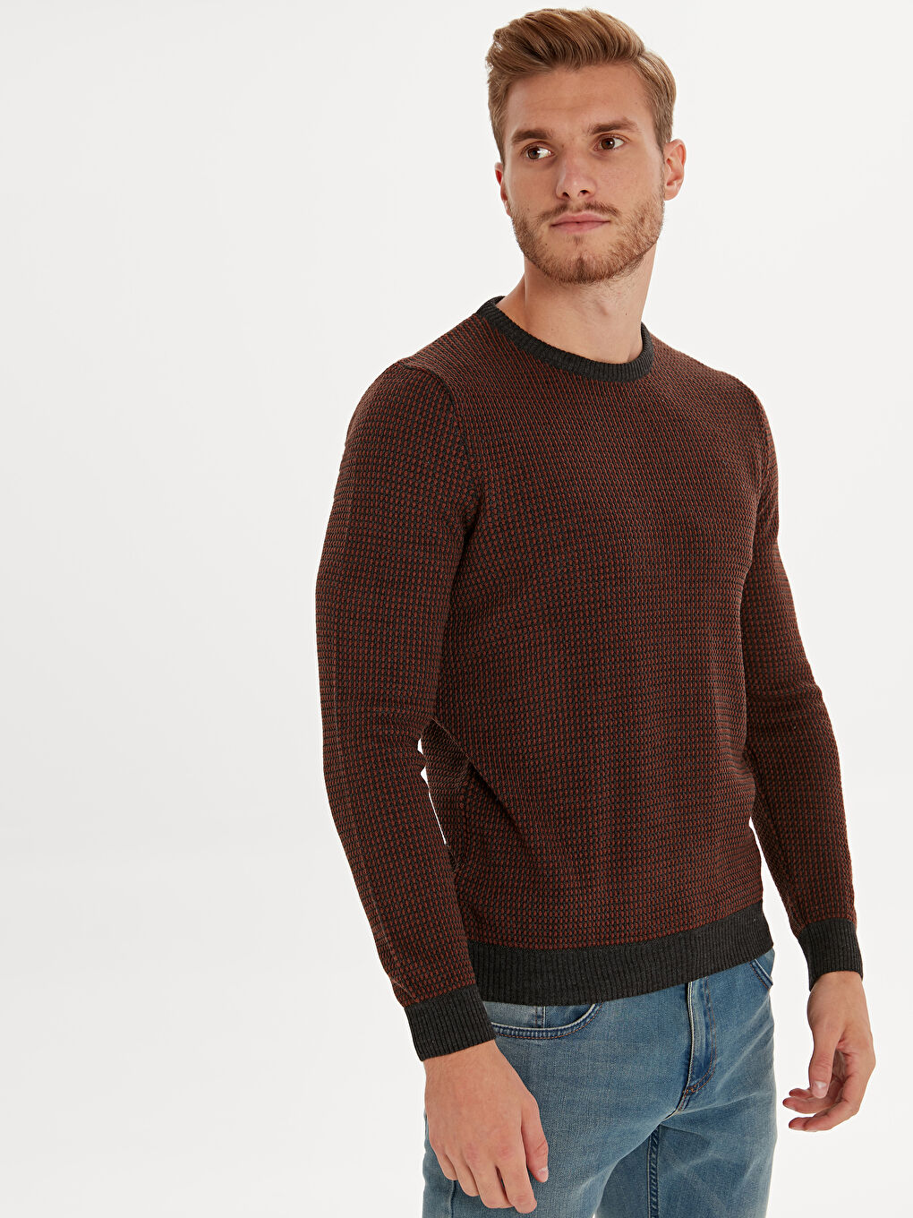 LCWAIKIKI Classic Crew Neck Long Sleeve Men's Tricot Sweater -9W6906Z8-E7Y