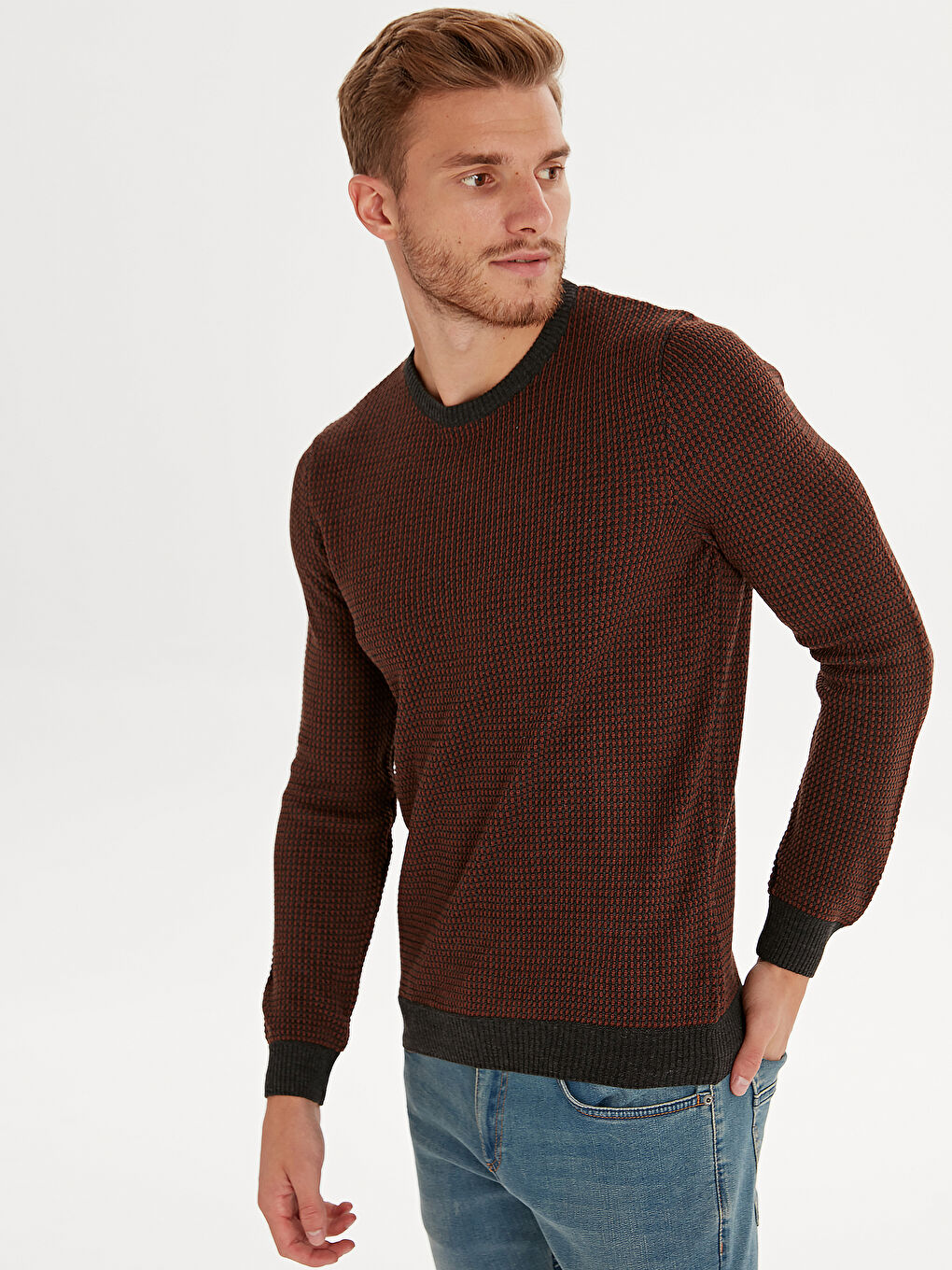 LCWAIKIKI Classic Crew Neck Long Sleeve Men's Tricot Sweater -9W6906Z8-E7Y