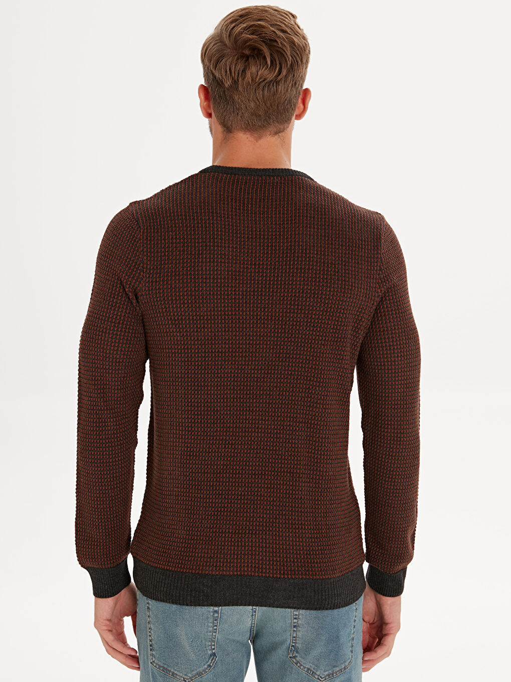 LCWAIKIKI Classic Crew Neck Long Sleeve Men's Tricot Sweater -9W6906Z8-E7Y