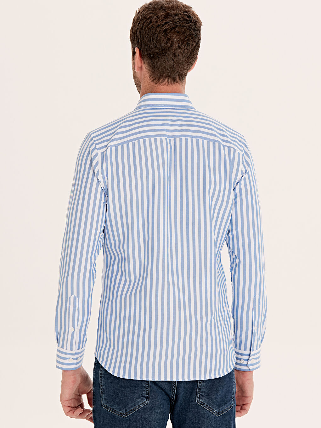 Mavi Çizgili Gömlek-2