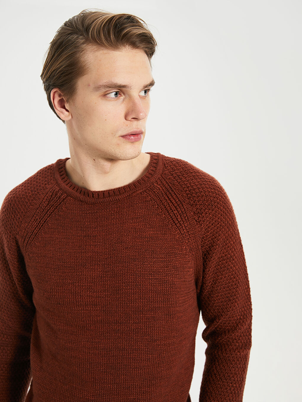 Мужчины Коричневый Свитер-2
