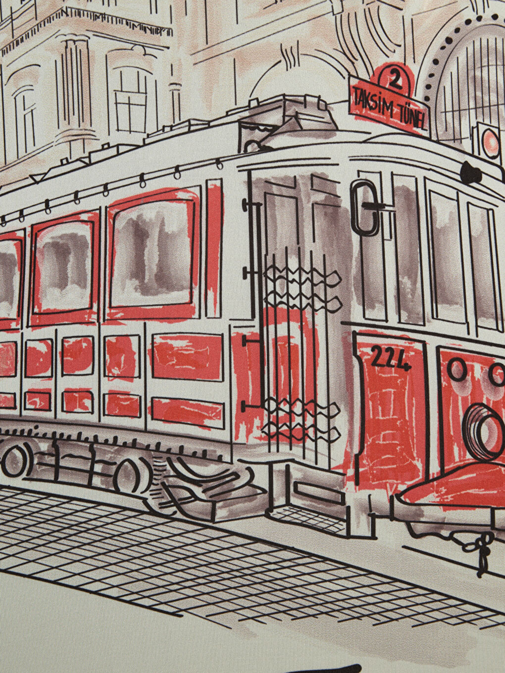 Gri Orta Boy Valiz Kılıfı-3