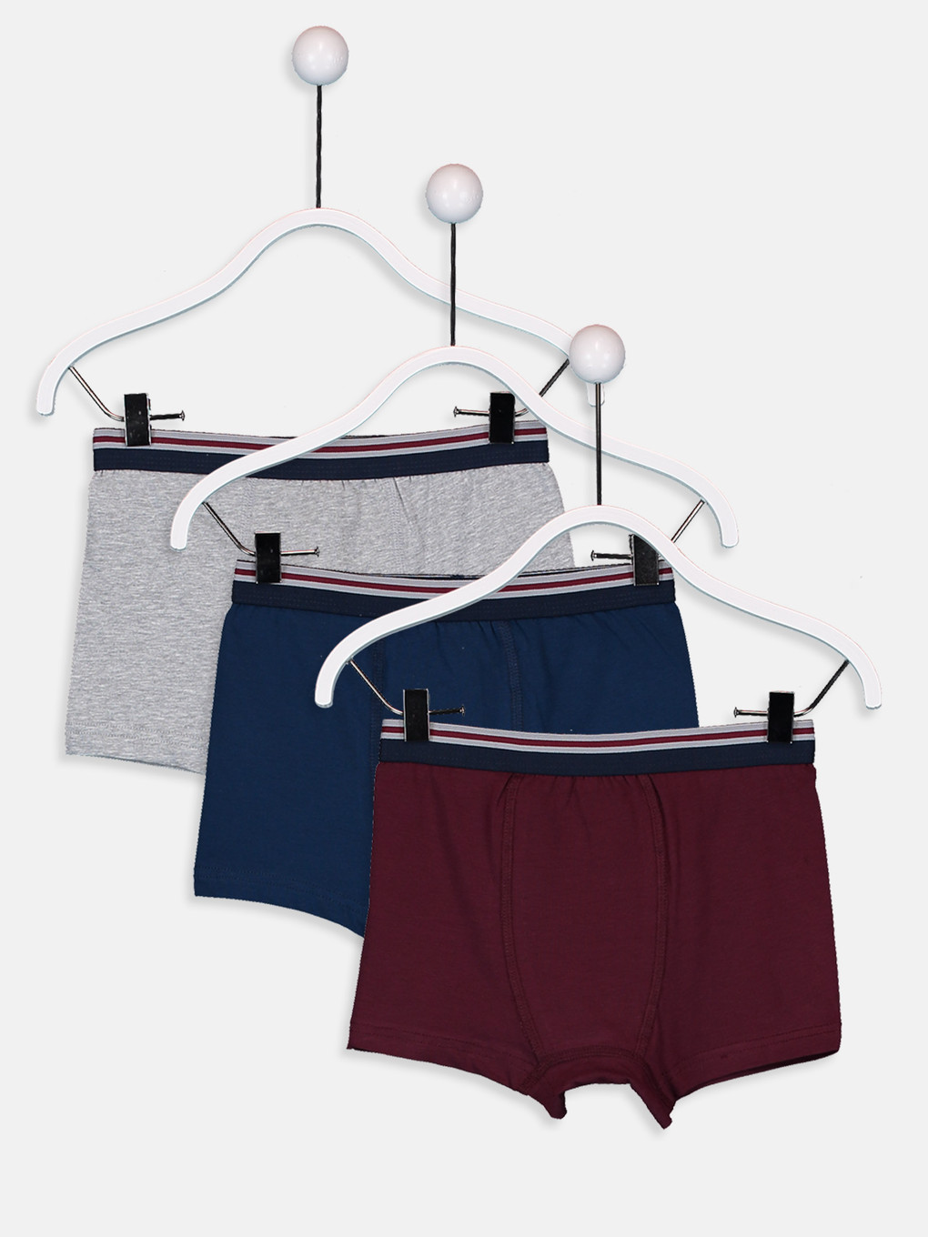 Bordo Boxer