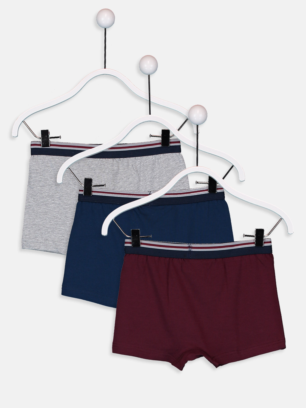 Bordo Boxer-1