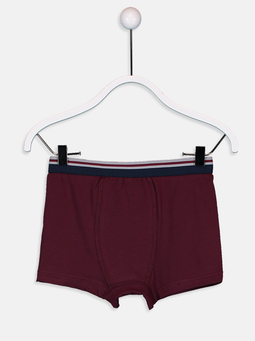Bordo Boxer-4